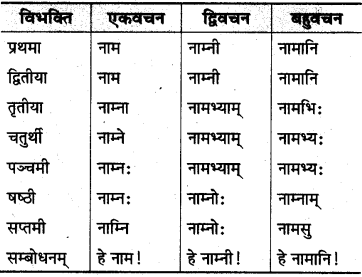 MP Board Class 10th Sanskrit व्याकरण शब्द रूप-प्रकरण img 16