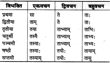 MP Board Class 10th Sanskrit व्याकरण शब्द रूप-प्रकरण img 20