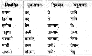 MP Board Class 10th Sanskrit व्याकरण शब्द रूप-प्रकरण img 21