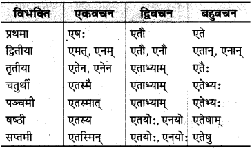 MP Board Class 10th Sanskrit व्याकरण शब्द रूप-प्रकरण img 22