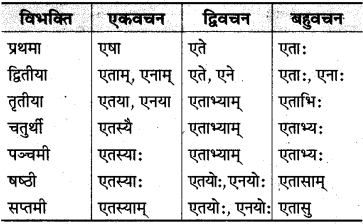 MP Board Class 10th Sanskrit व्याकरण शब्द रूप-प्रकरण img 23