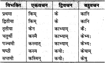 MP Board Class 10th Sanskrit व्याकरण शब्द रूप-प्रकरण img 27