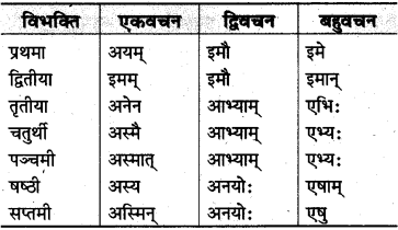 MP Board Class 10th Sanskrit व्याकरण शब्द रूप-प्रकरण img 31