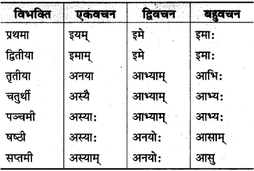 MP Board Class 10th Sanskrit व्याकरण शब्द रूप-प्रकरण img 32