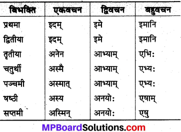 MP Board Class 10th Sanskrit व्याकरण शब्द रूप-प्रकरण img 33