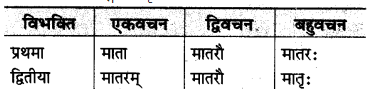 MP Board Class 10th Sanskrit व्याकरण शब्द रूप-प्रकरण img 37