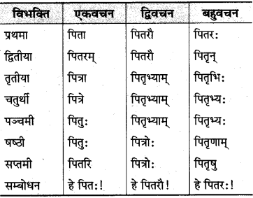 MP Board Class 10th Sanskrit व्याकरण शब्द रूप-प्रकरण img 4