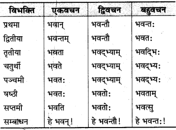 MP Board Class 10th Sanskrit व्याकरण शब्द रूप-प्रकरण img 6