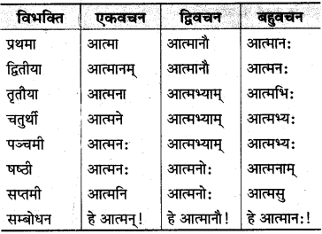 MP Board Class 10th Sanskrit व्याकरण शब्द रूप-प्रकरण img 7