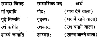 Class 10 Samas Sanskrit MP Board