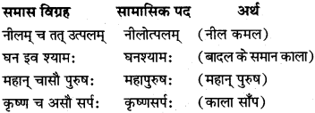 Sanskrit Mein Samas MP Board Class 10th