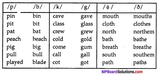 MP Board Class 11th English A Voyage Workbook Solutions Unit 1 Sounds in English 5