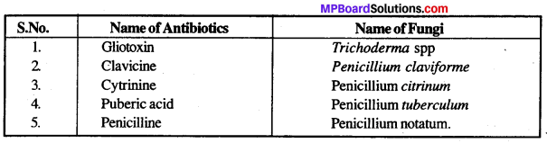 MP Board Class 12th Biology Solutions Chapter 10 Microbes in Human Welfare 8