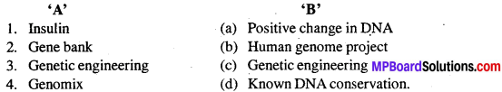 MP Board Class 12th Biology Solutions Chapter 11 Biotechnology Principles And Processes 6