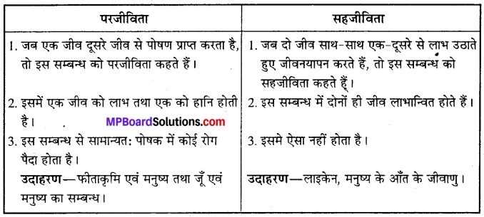 MP Board Class 12th Biology Solutions Chapter 13 जीव और समष्टियाँ 4