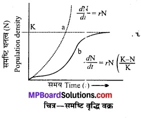 MP Board Class 12th Biology Solutions Chapter 13 जीव और समष्टियाँ 5