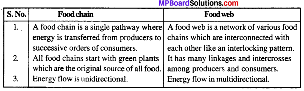 MP Board Class 12th Biology Solutions Chapter 14 Ecosystem 4