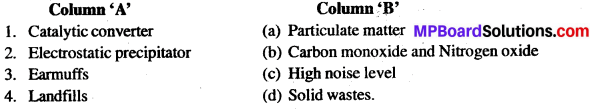 MP Board Class 12th Biology Solutions Chapter 16 Environmental Issues 1