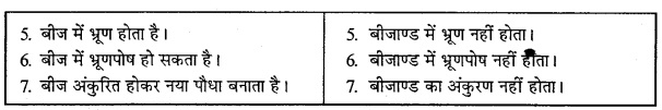 MP Board Class 12th Biology Solutions Chapter 2 पुष्पी पादपों में लैंगिक प्रजनन 15