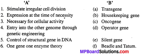 MP Board Class 12th Biology Solutions Chapter 6 Molecular Basis of Inheritance 8