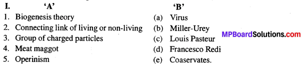 MP Board Class 12th Biology Solutions Chapter 7 Evolution 5