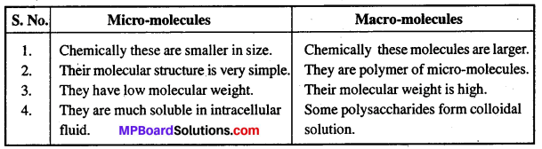 MP Board Class 12th Biology Solutions Chapter 7 Evolution 8