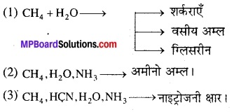 MP Board Class 12th Biology Solutions Chapter 7 विकास 13