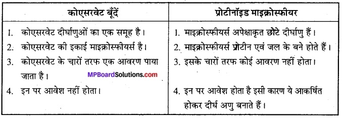MP Board Class 12th Biology Solutions Chapter 7 विकास 5