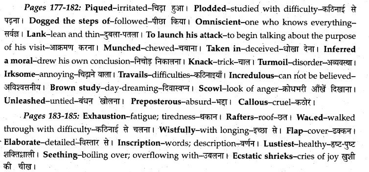 MP Board Class 12th English A Voyage Solutions Chapter 20 Swami and Friends img 3