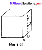 MP Board Class 12th Physics Solutions Chapter 1 वैद्युत आवेश तथा क्षेत्र img 35
