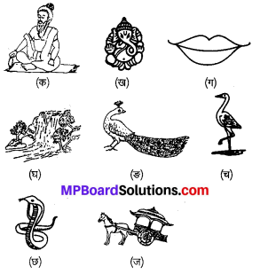 MP Board Class 6th Sanskrit Solutions Chapter 1 स्वराभ्यासः 2