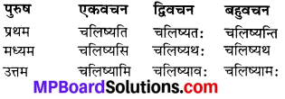 MP Board Class 6th Sanskrit Solutions Chapter 17 चरामेति चरामेति 7