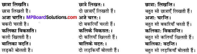 MP Board Class 6th Sanskrit Solutions Chapter 2 कर्त्तृक्रिर्त्तृयासम्बन्धः 6
