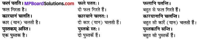 MP Board Class 6th Sanskrit Solutions Chapter 2 कर्त्तृक्रिर्त्तृयासम्बन्धः 7