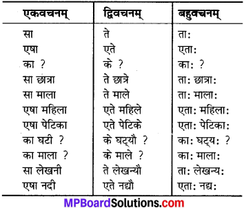 MP Board Class 6th Sanskrit Solutions Chapter 3 सर्वनामशब्दाः 10