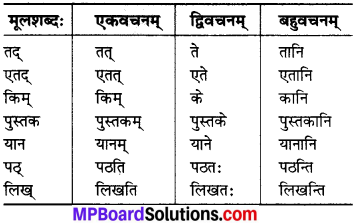 MP Board Class 6th Sanskrit Solutions Chapter 3 सर्वनामशब्दाः 16
