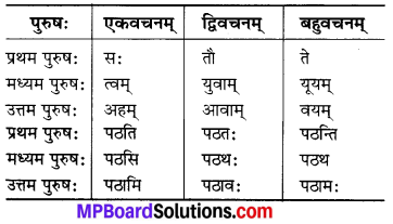 MP Board Class 6th Sanskrit Solutions Chapter 3 सर्वनामशब्दाः 26