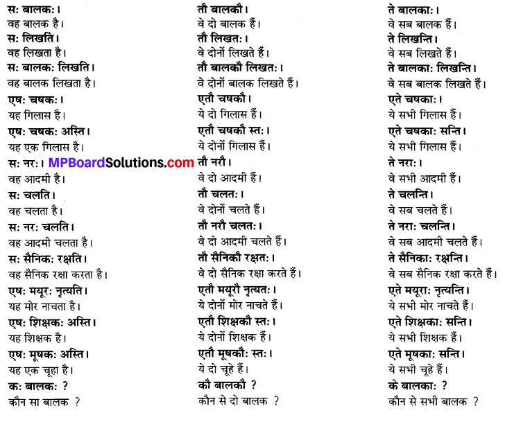 फलम् पतति Meaning In Hindi Mp Board
