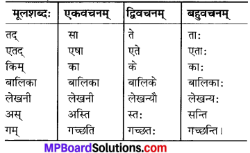 MP Board Class 6th Sanskrit Solutions Chapter 3 सर्वनामशब्दाः 8