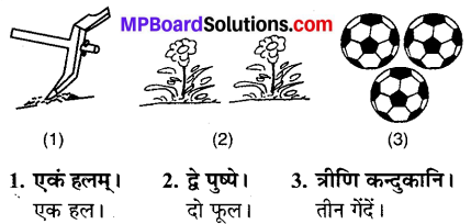 MP Board Class 6th Sanskrit Solutions Chapter 4 सङ्ख्याबोधः 22