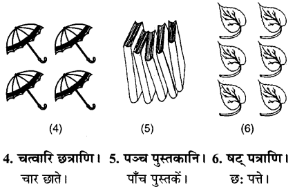 MP Board Class 6th Sanskrit Solutions Chapter 4 सङ्ख्याबोधः 23