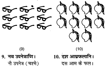MP Board Class 6th Sanskrit Solutions Chapter 4 सङ्ख्याबोधः 25