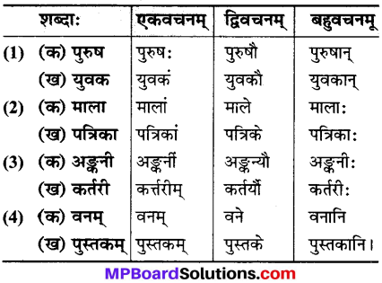 MP Board Class 6th Sanskrit Solutions Chapter 6 मम दिनचर्या 2