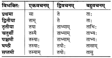 MP Board Class 6th Sanskrit व्याकरण-खण्डः 12