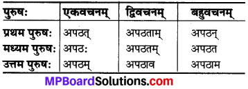 MP Board Class 6th Sanskrit व्याकरण-खण्डः 25