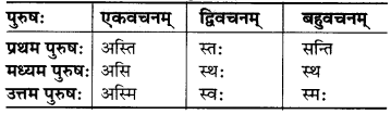 MP Board Class 6th Sanskrit व्याकरण-खण्डः 28