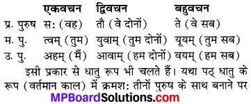 MP Board Class 6th Sanskrit व्याकरण-खण्डः 30