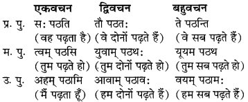 MP Board Class 6th Sanskrit व्याकरण-खण्डः 31