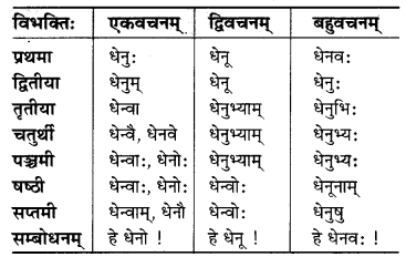 MP Board Class 6th Sanskrit व्याकरण-खण्डः 7