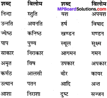 MP Board Class 6th Special Hindi व्याकरण 5